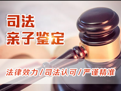 dna鉴定的价格大概是多少